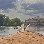 Lejlighed A Ojos Del Rio Duero Zamora