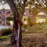 דירה A Ojos Del Rio Duero *