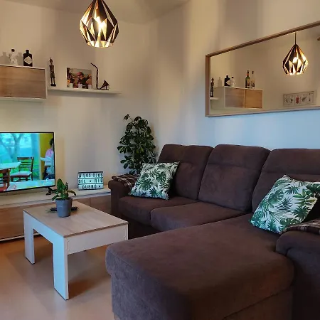 A Ojos Del Rio Duero Apartment *