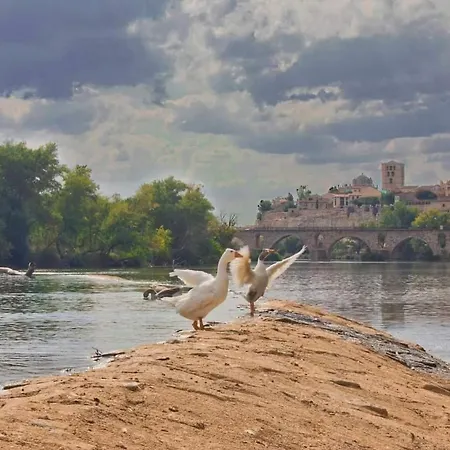 Apartman A Ojos Del Rio Duero Zamora