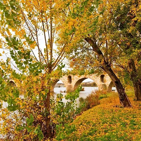 A Ojos Del Rio Duero