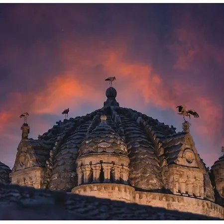 Apartman A Ojos Del Rio Duero