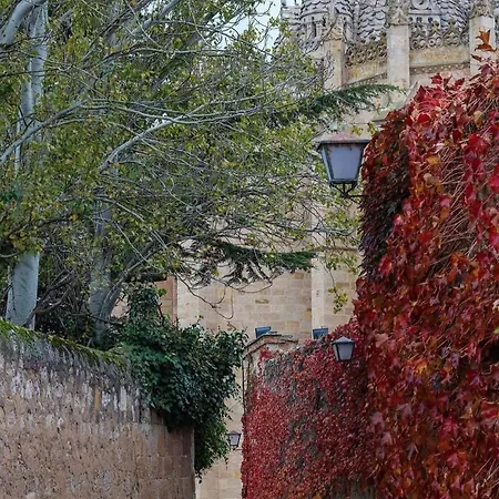 A Ojos Del Rio Duero