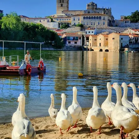 A Ojos Del Rio Duero Zamora