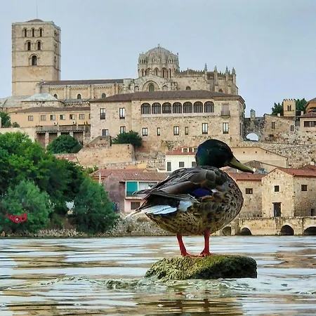 A Ojos Del Rio Duero *