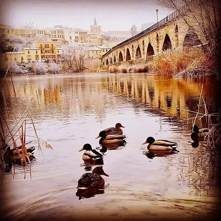 A Ojos Del Rio Duero Apartment Zamora