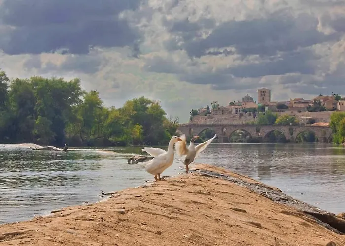 Appartement A Ojos Del Rio Duero Zamora