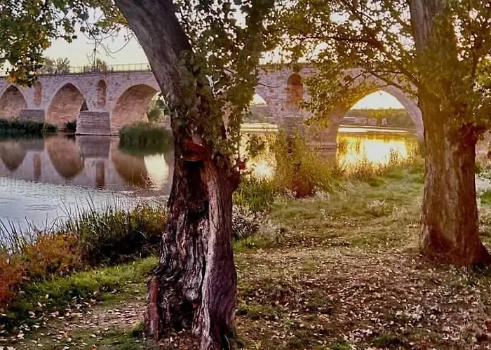Appartement A Ojos Del Rio Duero *