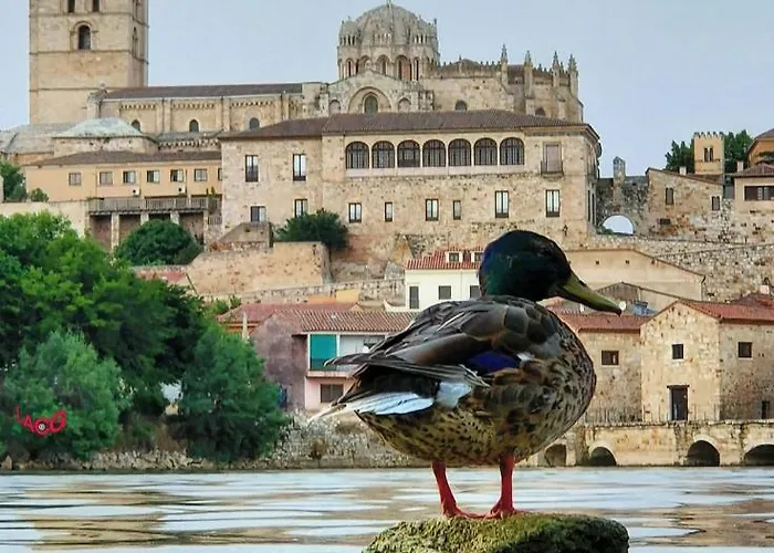 A Ojos Del Rio Duero *