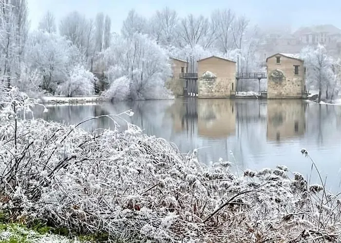 A Ojos Del Rio Duero Appartement *