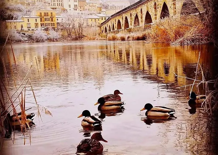 A Ojos Del Rio Duero Appartement Zamora